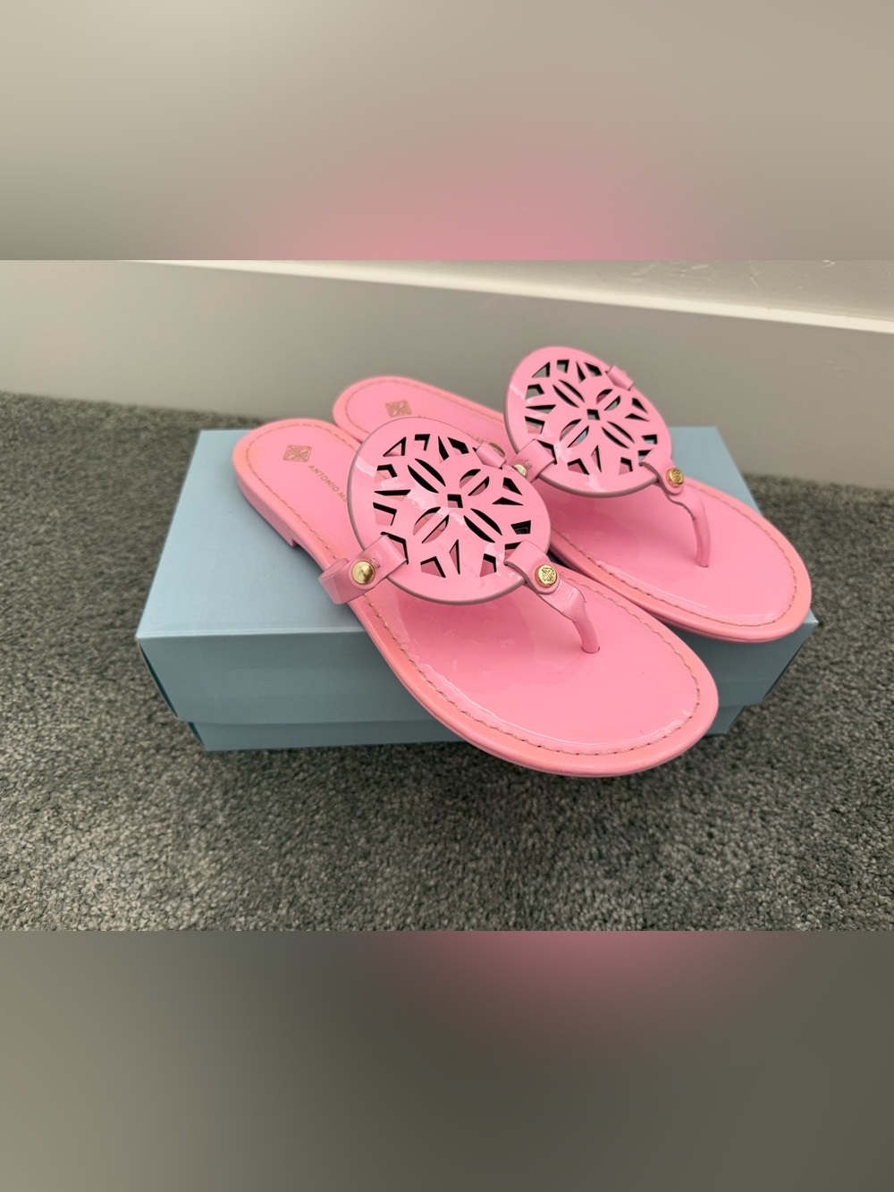 ANTONIO MELANI Pink Laser-Cut Leather Thong Sandals with Gold Accents - Picture 2 of 8